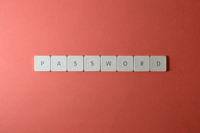 the word password written in letters on a plain red background